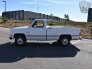 1985 Chevrolet C/K Truck Scottsdale for sale 101688166